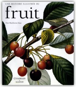 Fruit : une histoire illustrée