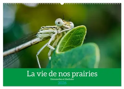 La vie de nos prairies : Demoiselles et libellules (Calendrier mural 2026 DIN A2 vertical), CALVENDO calendrier mensuel : A la découverte des petites bêtes de nos prairies