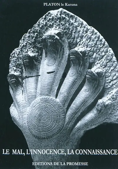 Le mal, l'innocence, la connaissance. L'énergie du bien au service de tous les humains. La lutte de l'adversité : le bien, le mal, l'amour