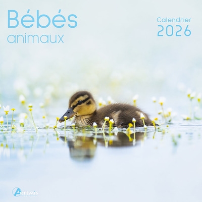 Bébés animaux : calendrier...