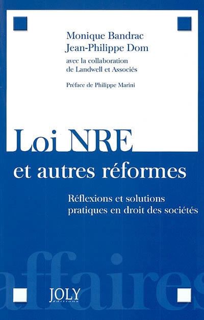 Loi NRE et autres réformes : réflexions et solutions pratiques en droit des sociétés