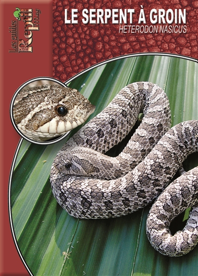Le serpent à groin : Heterodon nasicus