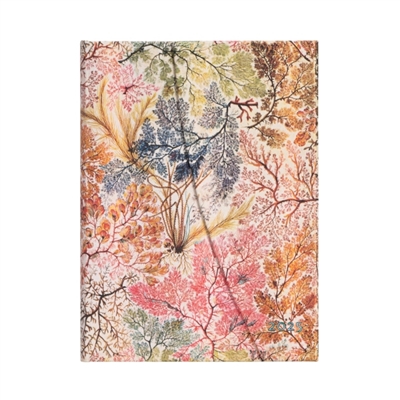 12-Mois 2025 Anemone Midi VER