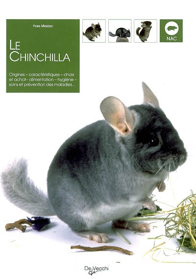 Le chinchilla : origines, caractéristiques, choix et achat, alimentation, hygiène, soins et prévention des maladies...