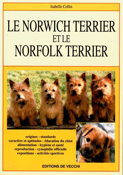 Le norwish terrier et le norfolk terrier