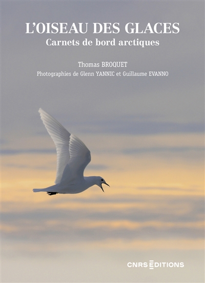 L'oiseau des glaces :...