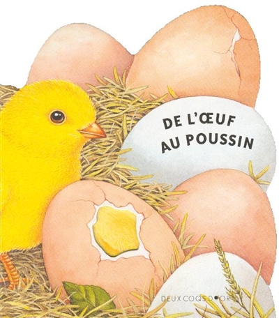 De l'oeuf au poussin