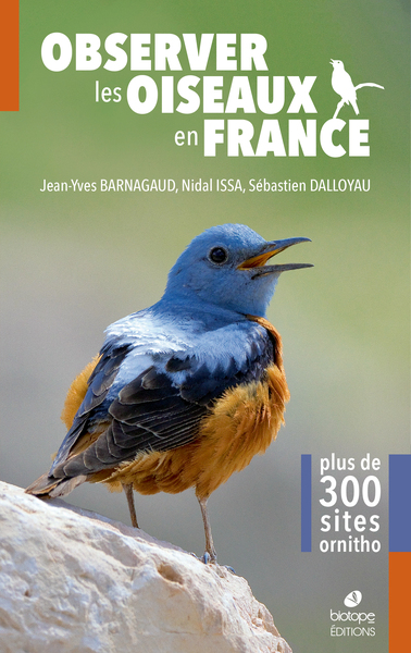 Observer les oiseaux en France : plus de 300 sites ornitho