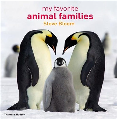 My Favourite Animal Families