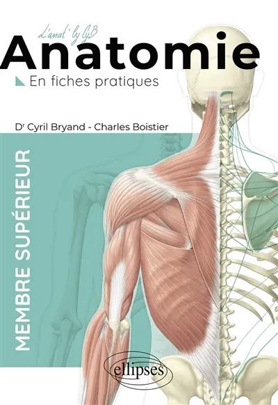 Anatomie : en fiches pratiques. Membre supérieur