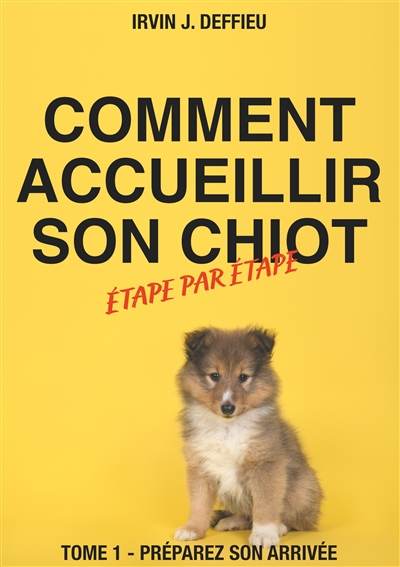 Comment accueillir son...