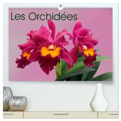 Les Orchidées (Calendrier mural 2026 DIN A2 vertical) calendrier de bureau : Les orchidées exotiques