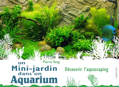Un mini-jardin dans un aquarium : découvrir l'aquascaping