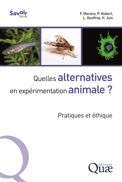 Quelles alternatives en expérimentation animale ? : pratiques et éthique