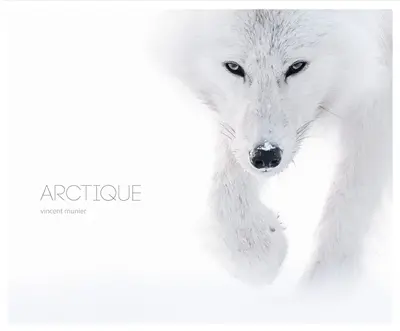 Arctique