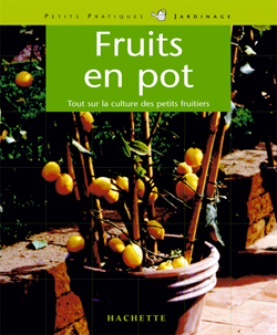 Fruits en pots