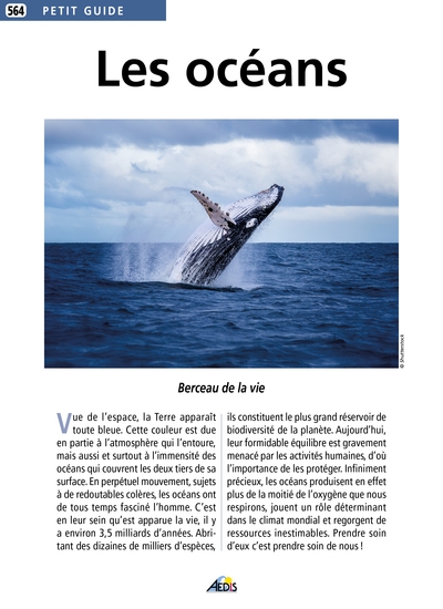 Les océans : berceau de la vie