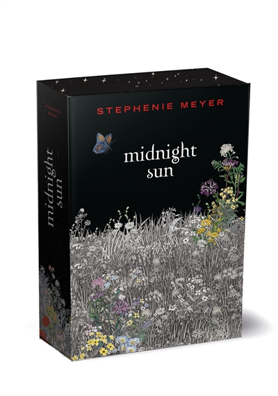 Twilight. Midnight sun