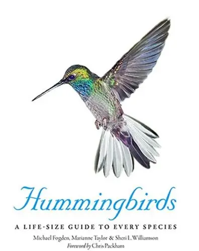Hummingbirds A Life-Size Guide to Every Species
