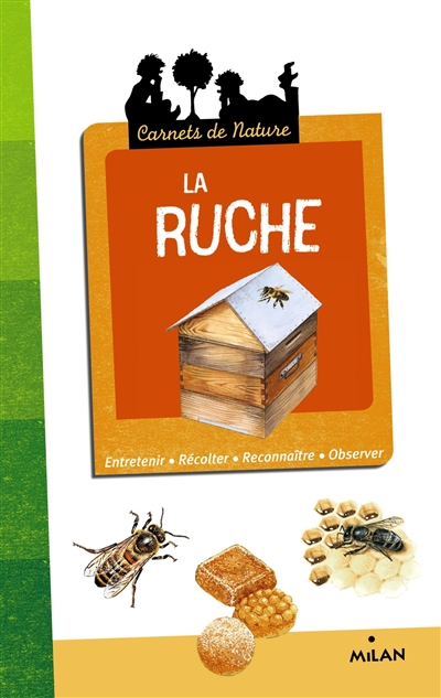 La ruche : entretenir, récolter, reconnaître, observer