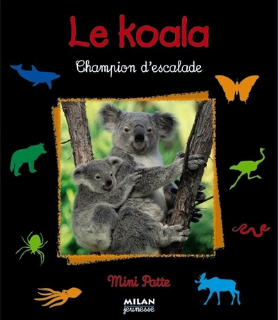 Le koala : champion d'escalade