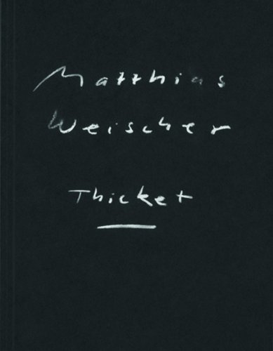 Matthias Weischer : thicket : exposition à Amsterdam, Grimm Gallery, du 23 avril au 11 mai 2013