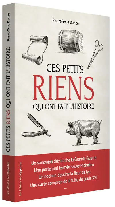 Ces petits riens qui ont fait l'histoire de France : hasards, coïncidences et malchances de Jules César à Charles de Gaulle