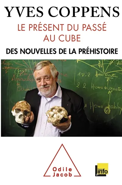 Le présent du passé au cube : des nouvelles de la préhistoire