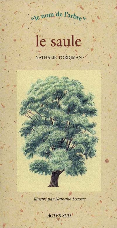 Le saule