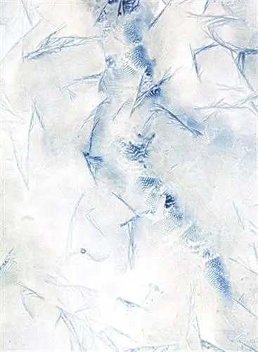 Meghann Riepenhoff Ice
