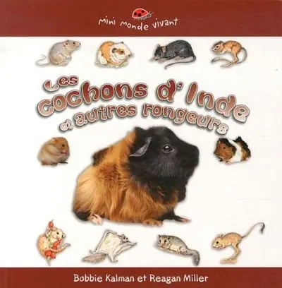 Les cochons d'Inde et autres rongeurs
