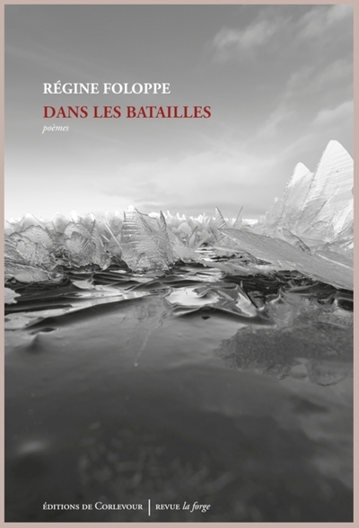 Dans les batailles : poèmes