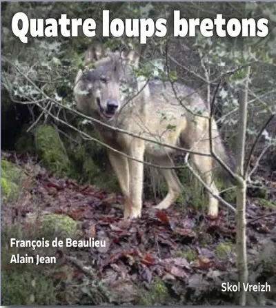 Quatre loups bretons