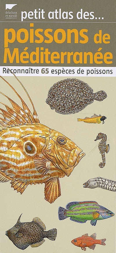 Petit atlas des poissons de Méditerranée : reconnaître 65 espèces de poissons