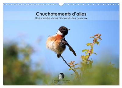 Chuchotements d'ailes : Une...