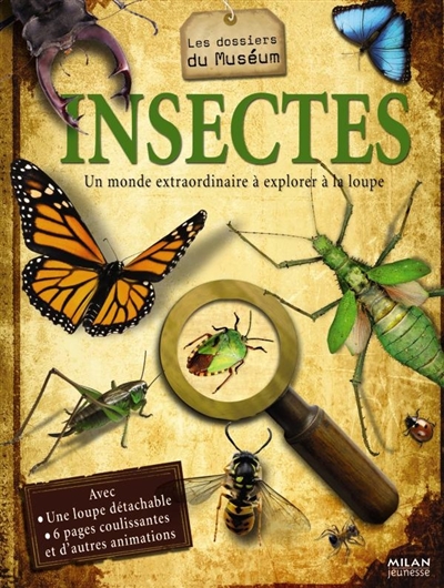 Insectes : un monde extraordinaire à explorer à la loupe
