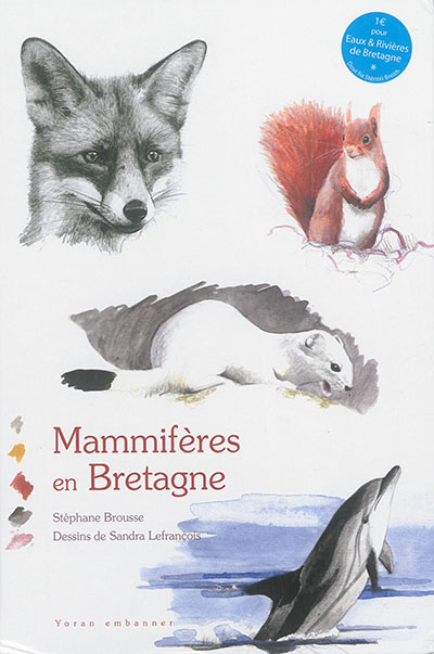 Mammifères en Bretagne