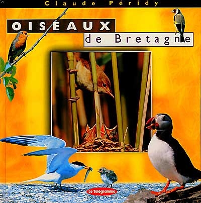 Guide des oiseaux de Bretagne