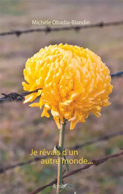 Je rêvais d'un autre monde...