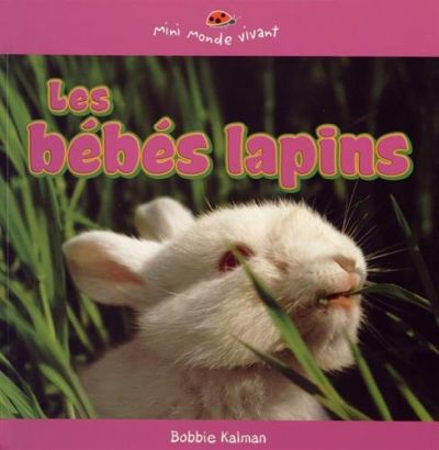 Les bébés lapins