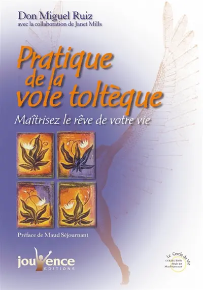 Pratique de la voie toltèque : les méthodes pratiques pour maîtriser le rêve de votre vie