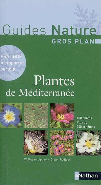 Plantes de Méditerranée