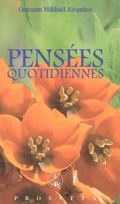 Pensées quotidiennes : 2004