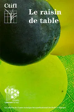 Le raisin de table