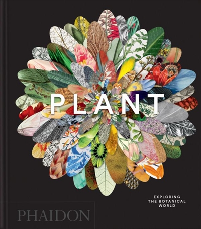 Plant : exploring the...
