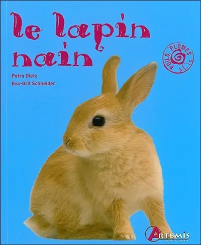 Le lapin nain