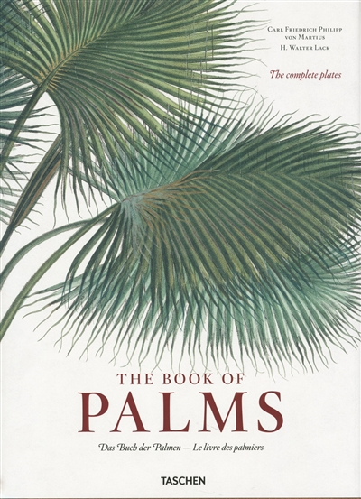 The book of palms. Das Buch der Palmen. Le livre des palmiers