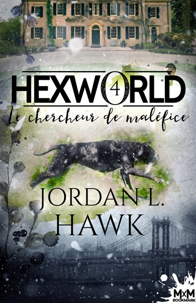 Le chercheur de maléfice : Hexworld, T4