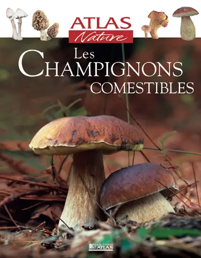 Les champignons comestibles