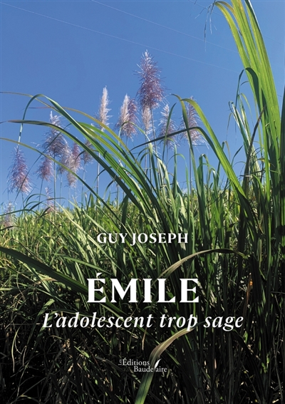 Emile : L'adolescent trop sage